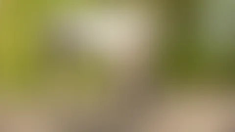 Majestät trifft auf Verführung. 🖤🐎
