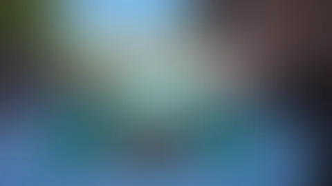 Tiefe Einblicke