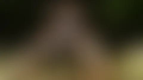 Ich zeige so gern meine M****i her auf dass sie Mann gefällt! Denk beim Posen schon an dich und hoffe dass mein Fötzchen dich schön geil zum Spritzen bring!