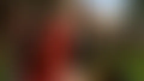 Kleiner Roter Traktor ❤️