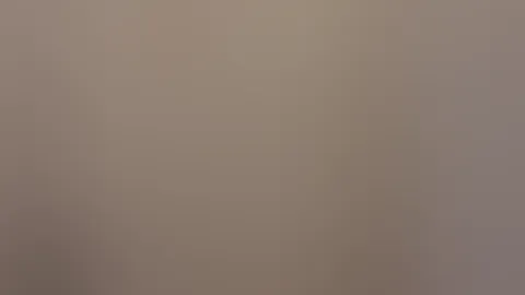 V. I. P P**i Feed Video Nr. 20