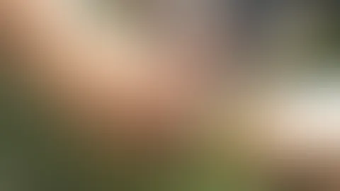 Wie schön doch der Sommer war đđŠ Wie oft habt ihr es im Sommer 2021 drauĂen gemacht? (Video 1:35min)