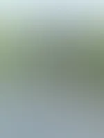Schöne Landschaft, oder? Obwohl ich fast sicher bin, dass deine Augen woanders hängen bleiben.