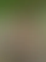 Guten Morgen, schon geile Pläne für heute?