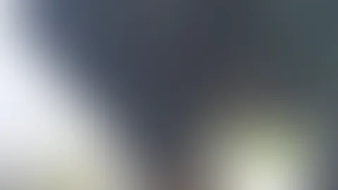 P**sen auf dem Flachdach