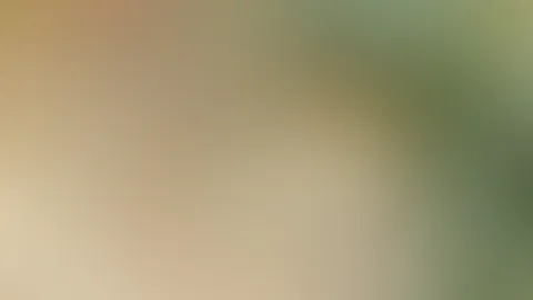 Grüße aus meiner Dusche