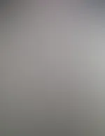 Meine muschii