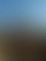 HĂ€ttest du mit mir die Sonne genossen? đđ¶ïž