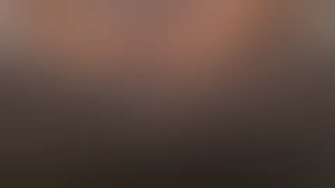 đ