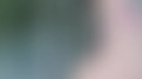 Pole Dance! Mein erster Tanz fĂŒr dich an der Stange đ„”
