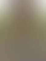 Ganz normaler Spaziergang bei niedrigen Temperaturen...