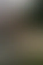 Du lĂ€ufst durch den Wald und siehst mich so im Dachzelt. Was stellst du mit mir an? đ