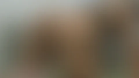 Guten morgen...