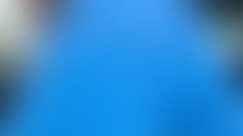 Mit Toy auf dem Fahrersitz