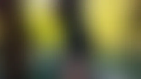 Ich liebe einfach Kleider und dazu die perfekten High Heels. Es gibt für mich nichts Schöneres, als in ein elegantes Kleid zu schlüpfen, das die Figur schmeichelt, und die passenden High Heels zu trag