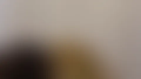V. I. P P**i Feed Video Nr. 16