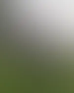 Abo schon gegönnt?đMein geiler Körper wird dich und deinen đ verzaubernđđ