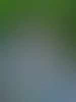 Ich liebe es im Freien! Wer zieht mich ganz aus und verwöhnt mich!