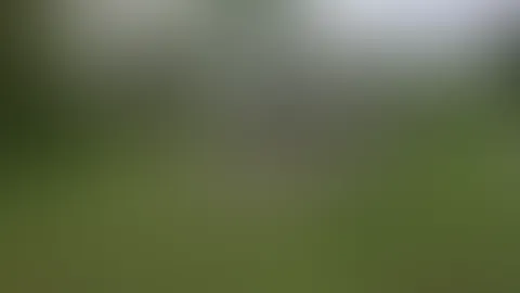 S******e im Park aufgerissen! Wir suchen beide nach einem steifen S*****z.