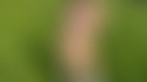 Im transparenten Dessous und weissen Nylons stehe ich vor dir in der Natur. Wo schaust du zuerst hin?