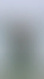Feed Post