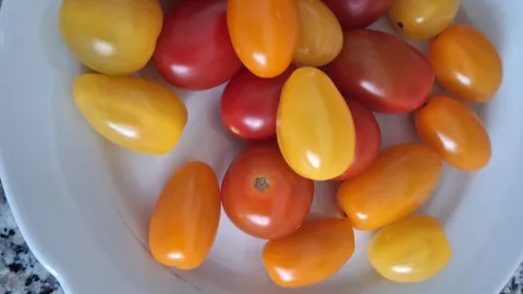 Welche Tomate war wohl in mir?