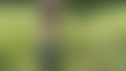 🥵spontaner Outdoor-Doggy F**k 💦