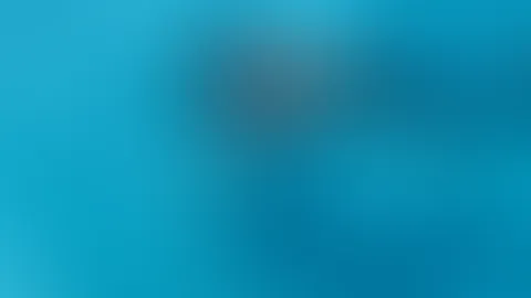 Avi die Meerjungfrau