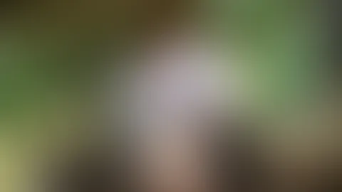 Kleiner Hinweis für euch ✨ Der 15 % Gutschein ist noch aktiv. Vielleicht ist genau heute der richtige Moment, etwas zu entdecken 💚 (Code: „KleinesDankeschön“)