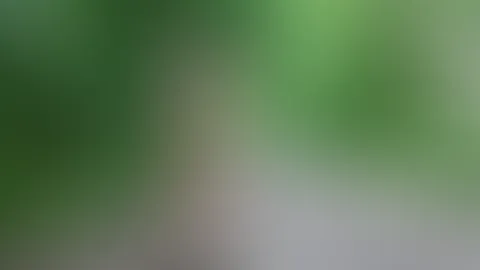 Bei meiner Public Rastplatz-Aktion für jedermann (vom vergangen Dienstag), habe ich wirklich wieder jeden S*****z geblasen und von jedem S****a sowie P**se geschluckt💦 Dabei wurde ich auch von denen