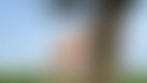 Im transparenten hellblauen Dessous stehe ich am Baum und bin soeas für bereit für Doggy…