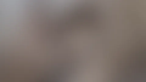 Arschf**k mit Analcreampie
