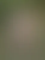 đ„”đ€