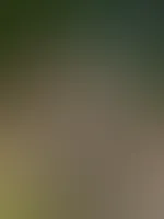 Habt einen tollen Start ins Wochenende :) ich werde jetzt noch etwas das tolle Wetter genießen und du ?