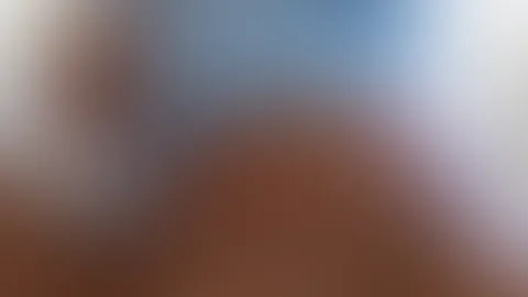 Heute gibt es ein P***y Reel zum Bild des Tagesđ