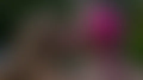 Meine süße Ciny kommt morgen wieder zu mir 😍 & wir sind natürlich wieder heiß darauf Content zu zaubern 🥵 Jetzt kommst du ins Spiel: Was möchtest du von uns beiden unbedingt sehen? 😏 Egal ob Bilder