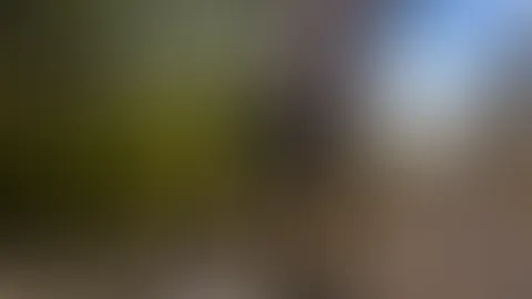 Das Interessanteste passiert eine Sekunde vor dieser Einstellung und eine Sekunde danach.😘