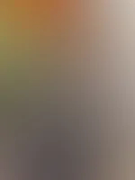 Schau mal mein neues Kleid đ