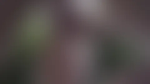 Unser erstes Blowjob Video 💦💦
