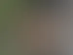 Ich hab da was verloren. Hilfst du mir suchen ?