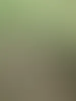 Hey du đ ich war heute ein wenig in der Natur unterwegs und hab natĂŒrlich wieder geile Bilder gemacht. đ€€đ Davon kommt dann spĂ€ter natĂŒrlich ein kleines Albumđ„° freut euch auf ein paar unzensierte,