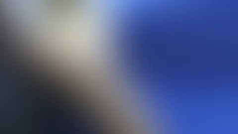 Arschf**k für Kitty