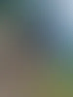 Lust auf eine kleine Spritztour mit mir?😈