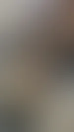 đ