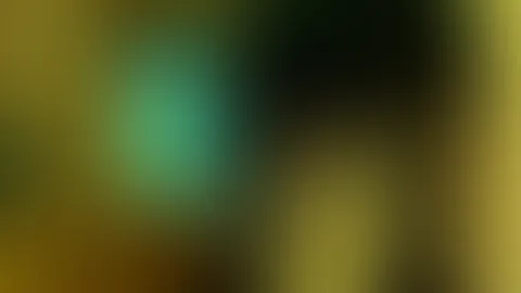 Noch ein neues Kleid rücken frei
