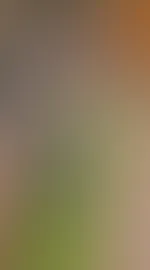 Ein kleiner Einblick von heute đ
