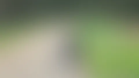 Letztens unterwegs gewesen und mein Fahrer das Schwein, fängt doch einfach an zu filmen. Dies ist der versprochene zweite Post, weil der Gestrige ausgeblieben ist💋💋