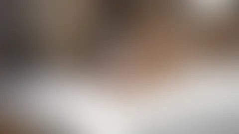 Gefangen und durchgef**kt!!