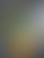 đ€«đ€«đ€«đ€«