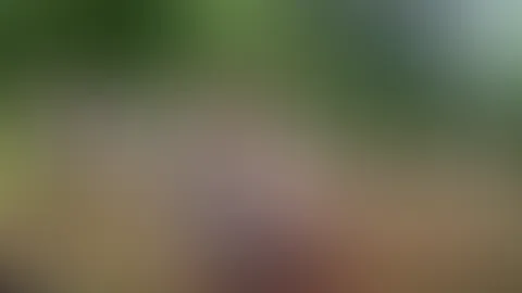 Public Orgasmus – Postfrau hört mit!